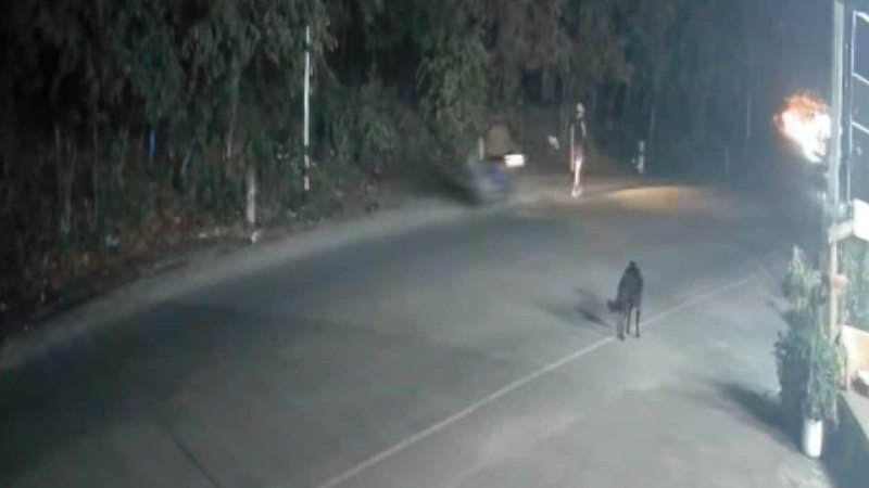 2026 British motorcyclist arrested on Koh Phangan after leaving Thai doctor in coma